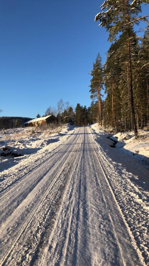 Trevlig Stuga Nara Hovfjallet Torsby Exterior photo